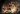 ziggo entertainment
